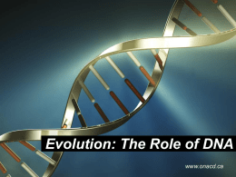 Evolution - The Role of DNA