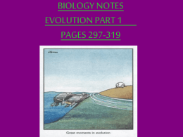 BIOLOGY NOTES EVOLUTION PART 1 PAGES 14-15, 368-386