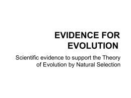 Evidence For Evolution Powerpoint