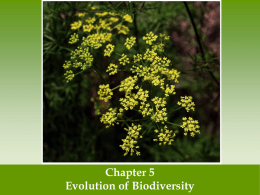 Mrs. Ashley`s PowerPoint Chapter 5 Evolution and Biodiversity