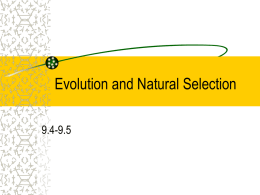 Evolution and Natural Selection