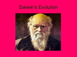 Darwin`s Evolution