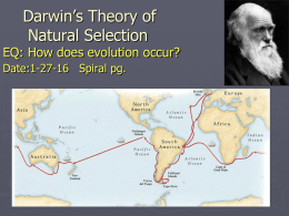 Darwin`s Theory Notes