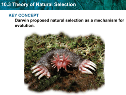 Chapter 10 - Section 10.3 Notes - Theory of Natural Selection
