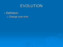 evolution - GEOCITIES.ws