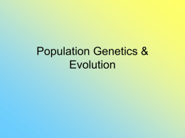 Population Genetics & Evolution