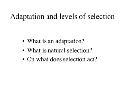 PowerPoint Presentation - What is an adaptation?