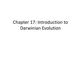 Chapter 17 PowerPoint