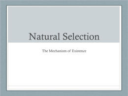 Natural Selection - SBI3U