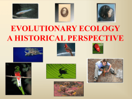 EVOLUTIONARY ECOLOGY A HISTORICAL PERSPECTIVE