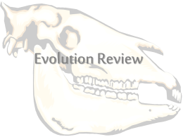 Evolution Review