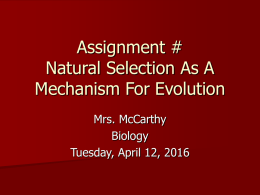 Assignment # Natural Selection As A Mechanism For Evolution