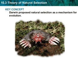10.3 Theory of Natural Selection