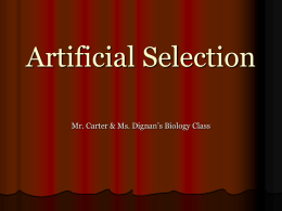 PowerPoint: Artificial Selection