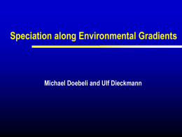 Speciation along an environmental gradient