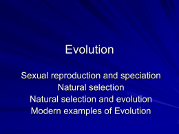 Natural Selection and Evolution
