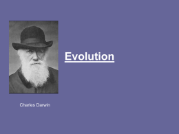 37. Evolution Notes