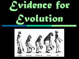 2010: Evidence for Evolution