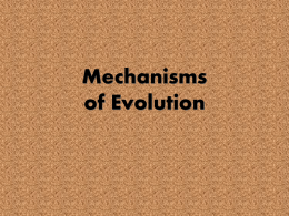 Notes Mechanisms of Evolution
