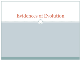 Evidences of Evolutionx