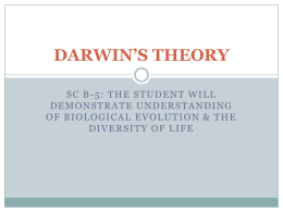DARWIN`S THEORY