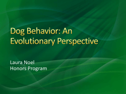 Dog Behavior: An Evolutionary Perspective