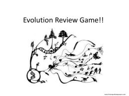 Evolution Review Gamex