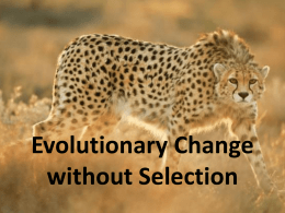 Evolutionary Change without Selection