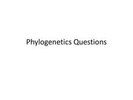Phylogenetics Questions