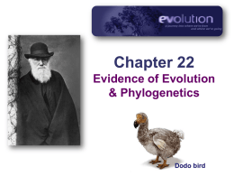 Ch22--Evidence for Evolution v2015x
