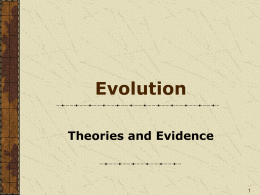 Evidence of Evolution (cont`d)