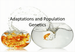 Adaptations and Population Genetics