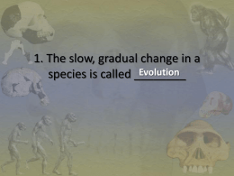 The slow, gradual change in a species is called ___Evolution_____