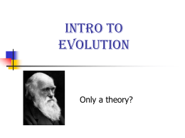 Evolution Discussion PPT File