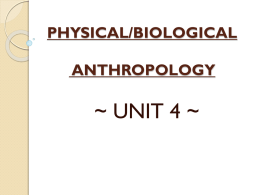 physical/biological anthropology