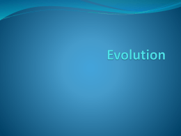 Darwin`s Theory of Evolution and Natural Selectionx
