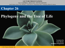 26_Lecture_Presentation_PCx
