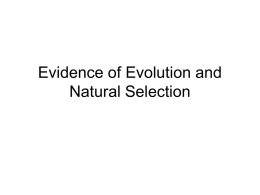 Chapter 15 Natural Selection and the Evidence of