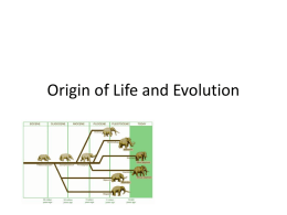 Unit 8: Origin of Life and Evolution