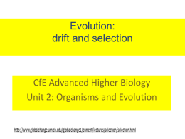 Evolution, drift and selection