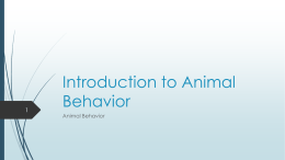 Introduction to Animal Behavior