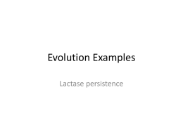 Evolution Examples