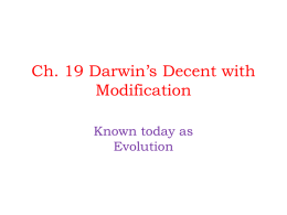 Darwin*s Decent with Modification
