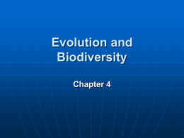 Ch4-1 Biodiversity/evolution
