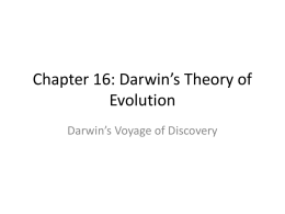 Chapter 16: Darwin*s Theory of Evolution