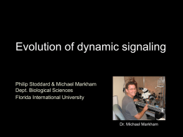 communication in electric fish - Philip Stoddard`s Lab