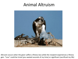 animal altruismx
