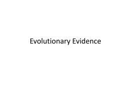 Evolutionary Evidence