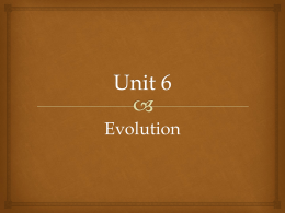 Unit 6 - tasokbiology