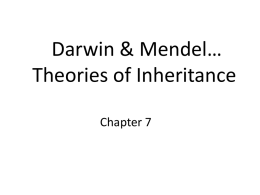 Chapter 7 Darwin, Mendel and Theories of Inheritance